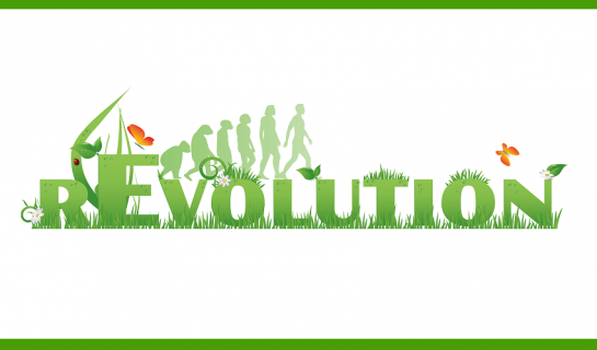 Evolution vs Revolution